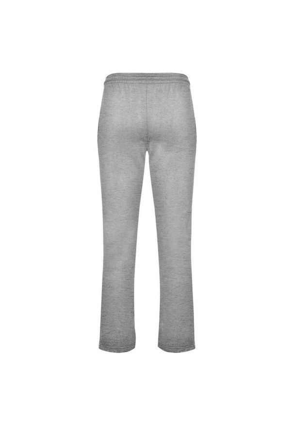ROLY - Spodnie Unisex Dla Dorosłych New Astun. Kolor: szary. Sport: turystyka piesza