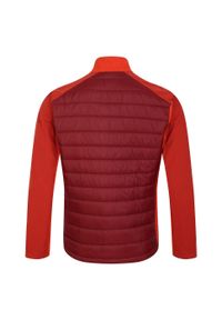 DARE 2B - Męska Kurtka Hybrydowa Mountaineer. Kolor: czerwony. Materiał: puch. Sport: turystyka piesza #2