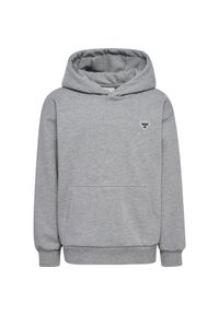 Bluza z kapturem dla dzieci Hummel Bee. Typ kołnierza: kaptur. Kolor: szary #1
