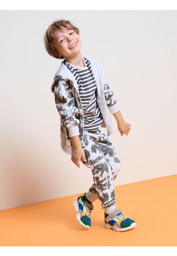 Sinsay - Bluza dresowa z kapturem w dinozaury - szary. Typ kołnierza: kaptur. Kolor: szary. Materiał: dresówka