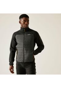 Regatta - Kurtka męska hybrydowa Ceden. Kolor: brązowy, szary, wielokolorowy. Materiał: puch, polar. Sport: turystyka piesza #1