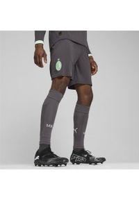 Puma - Męskie szorty AC Milan 24/25 PUMA Shadow Gray Fresh Mint Green. Kolor: szary, zielony, wielokolorowy. Sport: piłka nożna