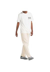 Koszulka męska Element Bxe Au Soleil T-shirt. Kolor: biały. Materiał: bawełna #1