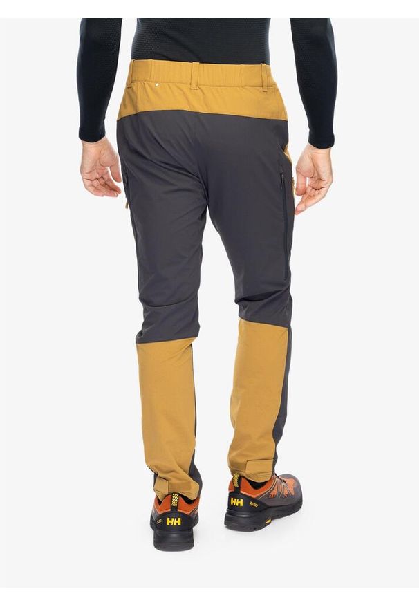 Spodnie trekkingowe męskie Helly Hansen Hovda Tur Pant. Kolor: brązowy