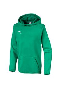 Bluza dla chłopca Puma Liga Casuals Hoody zielona 655636 05. Kolor: zielony