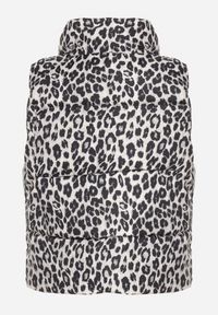 Born2be - Szara Pikowana Panterkowa Kamizelka Merianas. Okazja: na co dzień, na spacer. Typ kołnierza: golf. Kolor: szary. Materiał: skóra. Wzór: aplikacja. Styl: sportowy, klasyczny, casual, elegancki #7