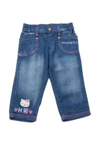 Pantalony Hello Kitty dla dzieci - Komfort i styl z bawełny. Kolor: fioletowy. Materiał: bawełna. Wzór: motyw z bajki