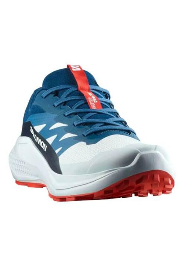 salomon - Buty do biegania męskie Salomon Alphaglide. Kolor: wielokolorowy. Materiał: materiał, syntetyk. Szerokość cholewki: normalna. Sport: bieganie