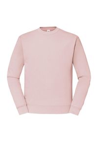 FRUIT OF THE LOOM - Męska Klasyczna Bluza Wkładana Przez Głowę. Kolor: różowy