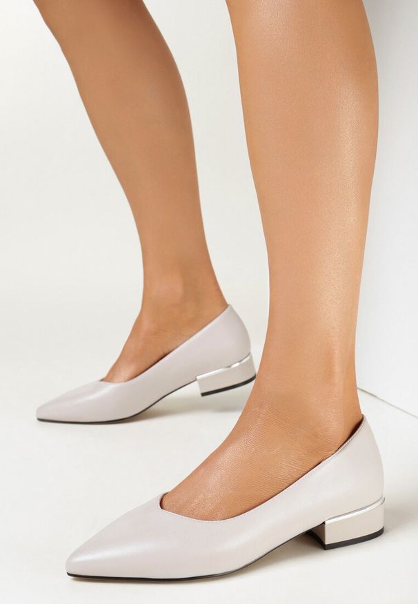 Born2be - Szare Czółenka na Płaskim Obcasie z Metaliczną Wstawką Kamre. Kolor: szary. Obcas: na obcasie. Styl: klasyczny. Wysokość obcasa: niski