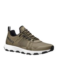 Buty męskie Timberland Winsor Trail Low Lace. Kolor: brązowy