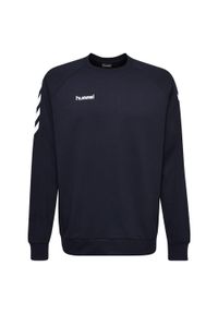 Bluza do piłki ręcznej dla dzieci Hummel hmlGO cotton. Kolor: niebieski. Sport: piłka ręczna