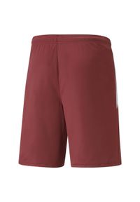 Krótka Puma Team Liga. Kolor: czerwony, biały, wielokolorowy. Długość: krótkie. Sport: piłka nożna