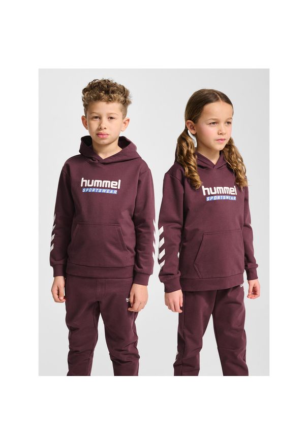 Bluza z kapturem dla dzieci Hummel Logo. Typ kołnierza: kaptur. Kolor: wielokolorowy, czerwony, różowy