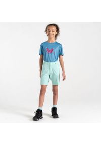 DARE 2B - Spodenki dziecięce Reprise II. Okazja: na spacer. Kolor: zielony. Materiał: elastan, poliamid. Styl: sportowy. Sport: turystyka piesza #1