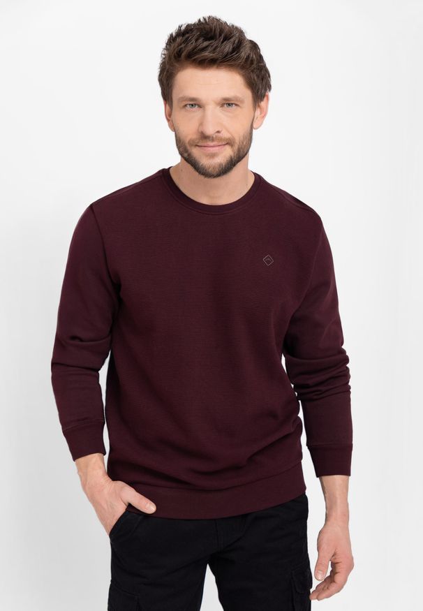 Volcano - Bawełniana bluza B-KIV. Okazja: na co dzień. Kolekcja: plus size. Kolor: czerwony. Materiał: bawełna. Wzór: prążki, gładki. Styl: klasyczny, casual, sportowy