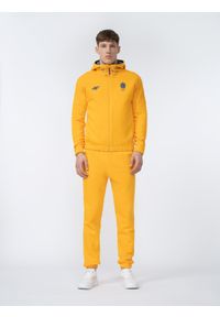 4f - Spodnie dresowe joggery męskie Litwa - Pekin 2022. Kolor: żółty. Materiał: dresówka