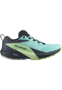 salomon - Buty do biegania damskie Salomon Sense Ride 5 Gtx. Kolor: niebieski. Materiał: guma, materiał, tkanina, syntetyk. Szerokość cholewki: normalna