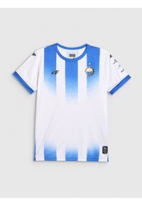 4f - 4F Koszulka klubowa domowa z sezonu 2025/26 dziecięca 4F x Stal Mielec - biała 110/116. Okazja: do domu. Kolor: biały. Materiał: włókno, dzianina. Wzór: gradientowy. Sezon: lato. Styl: młodzieżowy