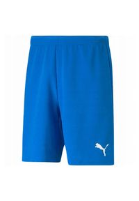Puma - Męskie Spodenki TeamRISE. Kolor: niebieski. Sport: turystyka piesza