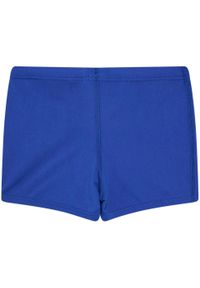 Spodenki do pływania Nike Poly Solid Jr, Niebieski, Dzieci. Kolor: niebieski