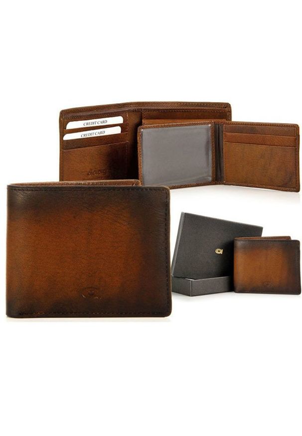 Portfel skórzany DAAG Alive P-02 vintage koniakowy w pudełku. Materiał: skóra