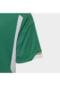 Adidas - Algeria 22 Away Jersey. Kolor: zielony, wielokolorowy, biały. Materiał: jersey