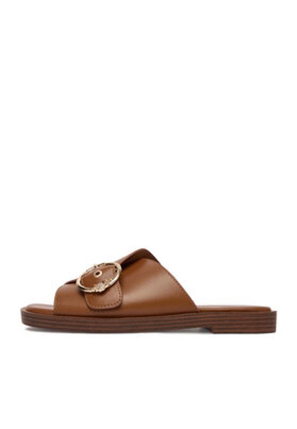 U.S. Polo Assn. Klapki EO-MARINA002W/6Y1 Brązowy. Kolor: brązowy. Materiał: materiał