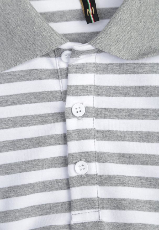 Born2be - Szara Bawełniana Koszulka Polo w Paski w Stylu Casual Elunilla. Okazja: na co dzień. Typ kołnierza: polo. Kolor: szary. Materiał: bawełna. Wzór: paski. Styl: casual