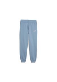 Spodnie dresowe dla dzieci Puma Essentials 2. Kolor: niebieski. Materiał: dresówka
