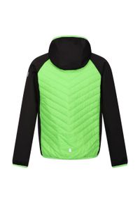 Regatta - Kurtka Dziecięca/dziecięca Kielder Hybrid VII Padded Jacket. Kolor: wielokolorowy, czarny, zielony