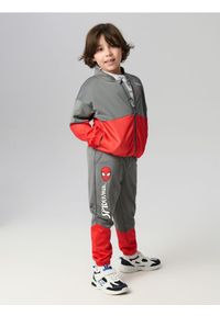 Sinsay - Spodnie dresowe jogger z nadrukiem Spiderman - szary. Kolor: szary. Materiał: dresówka. Wzór: nadruk, motyw z bajki #1