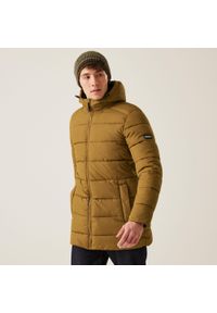 Regatta - Kurtka męska zimowa pikowana Lakiver. Typ kołnierza: kaptur. Kolor: brązowy. Materiał: puch. Sezon: zima. Sport: turystyka piesza #1