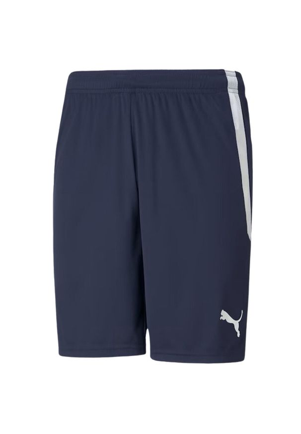 Puma - Męskie Spodenki Team Liga. Kolor: niebieski
