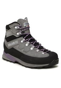 Dolomite Trekkingi Steinbock Gtx W GORE-TEX 280418 Szary. Kolor: szary