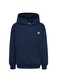 Bluza z kapturem dla dzieci Hummel Bee. Typ kołnierza: kaptur. Kolor: niebieski #1