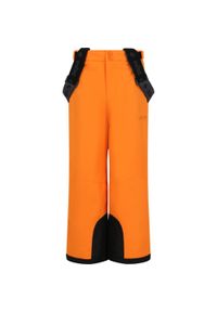 ZigZag - Dziecięce spodnie narciarskie Zigzag Provo. Kolor: pomarańczowy. Sezon: zima. Sport: narciarstwo #1