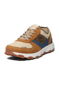 Buty męskie Timberland Winsor Park Ox. Kolor: brązowy. Szerokość cholewki: normalna