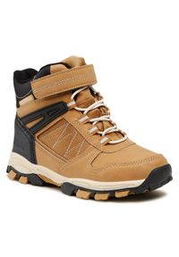 Trapery Sprandi. Kolor: brązowy #1