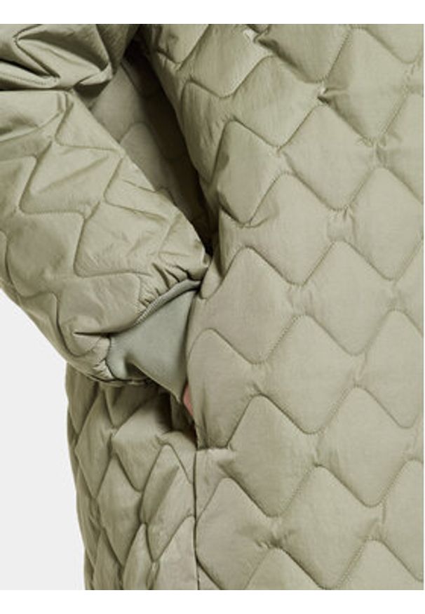 Didriksons Płaszcz zimowy Gabbi 505048 Zielony Regular Fit. Kolor: zielony. Materiał: syntetyk. Sezon: zima