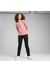 Puma - Damski dres z poliestru PUMA Pink Fruit. Kolor: różowy. Materiał: poliester, dresówka. Wzór: nadruk