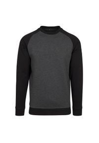 BUILD YOUR BRAND - Męska Koszulka Raglan Z Okrągłym Dekoltem. Kolor: wielokolorowy, szary, czarny, brązowy. Długość rękawa: raglanowy rękaw