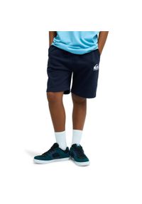 Quiksilver - Spodenki z elastyczną talią EASY DAY. Kolor: niebieski. Materiał: bawełna, poliester, materiał. Długość: krótkie. Sezon: lato #1