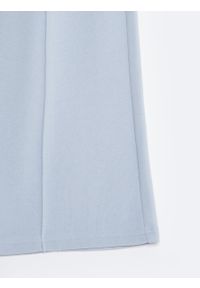 Big-Star - Spodnie damskie dresowe z szeroką nogawką błękitne Chitasanap 401/ Chitasana 401. Kolor: niebieski. Materiał: dresówka. Wzór: ze splotem #4