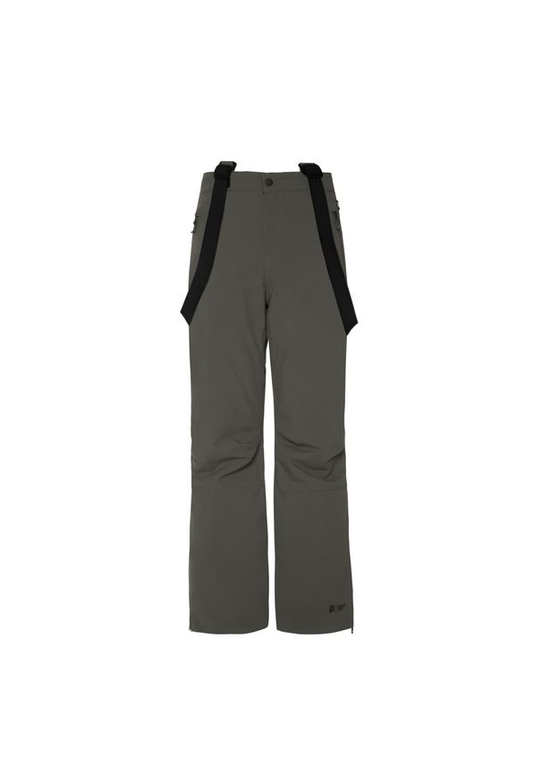 Dziecięce spodnie narciarskie Protest Spiket. Kolor: zielony. Sezon: zima. Sport: narciarstwo