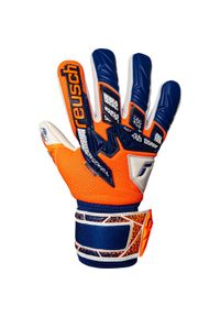 Rękawice bramkarskie dziecięce Reusch Attrakt Freegel Gold NC Junior. Kolor: niebieski, wielokolorowy, biały. Sport: piłka nożna
