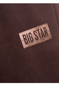 Big-Star - Spodnie dresowe dziewczęce brązowe Abeulita 804. Kolor: brązowy. Materiał: dresówka. Długość: długie. Sezon: wiosna, jesień, zima. Styl: klasyczny, elegancki #4