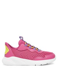 Sneakersy Geox. Kolor: różowy
