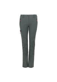 PEAK MOUNTAIN - Spodnie damskie z trzema kieszeniami i podparciem na ręce Peak Mountain. Kolor: szary. Sezon: lato. Sport: turystyka piesza #1