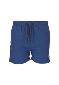 CRUZ - Szorty kąpielowe Cruz Eyemouth. Kolor: szary, niebieski, wielokolorowy #1